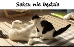 IMG_2351.jpeg