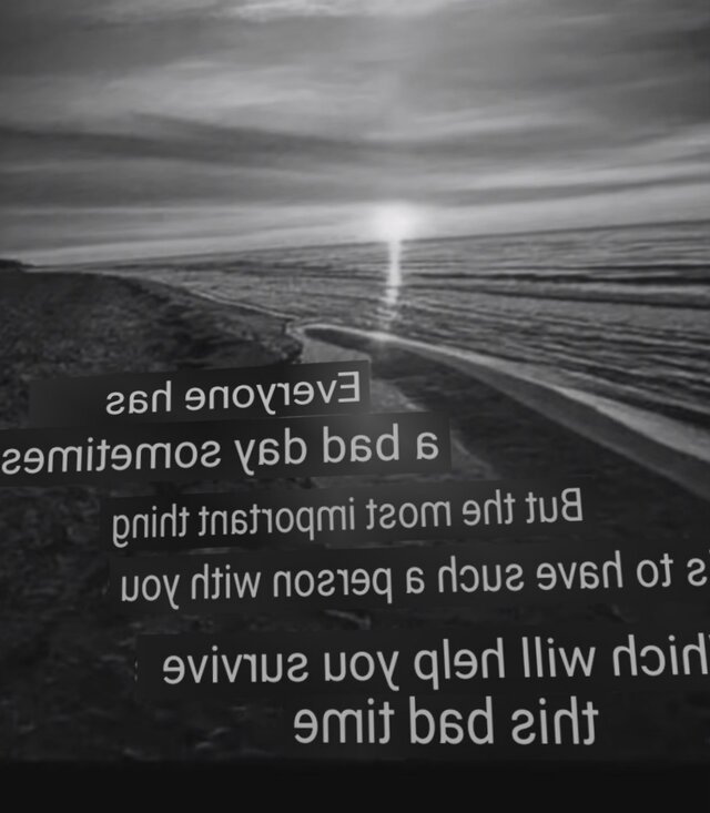 Duzykutass24