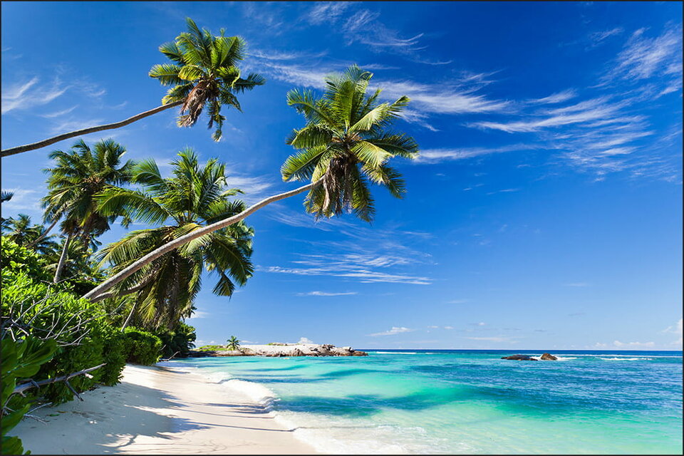 Fototapeta-Plaza-Ocean-Palmy.jpg - JovitaNuru