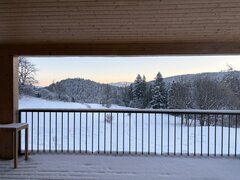 IMG_3355.jpeg