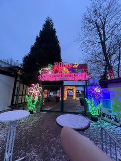 IMG_2151.jpeg