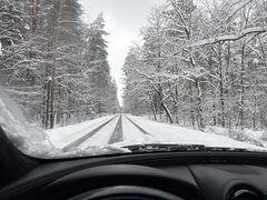 IMG_3379.jpeg