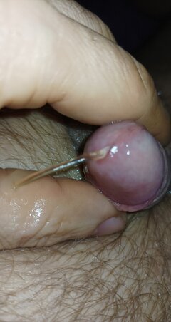 IMG_20260116_141409.jpg