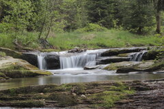 _MG_0515.JPG