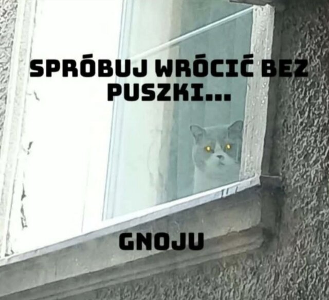 stolarz37zNidzicy