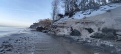 IMG_20260118_103058.jpg