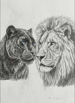 IMG_20260119_183712.jpg