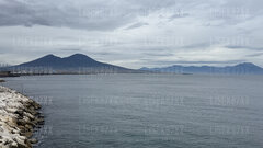IMG_8961.jpeg