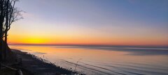 IMG_20260119_161425.jpg