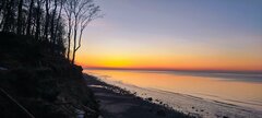 IMG_20260119_161917.jpg