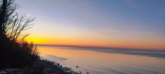 IMG_20260119_161239.jpg