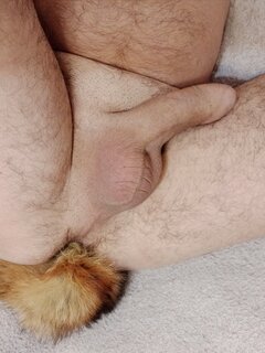 Chodzi lisek koło drogi....😉
