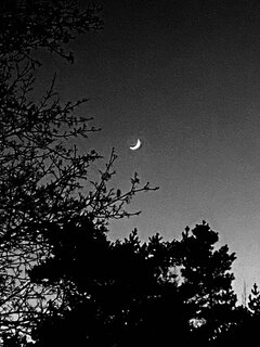 IMG_6243.jpeg