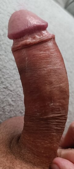1000022831.jpg