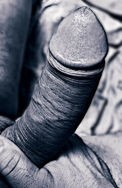 6EF907B8-FB28-403B-ABDB-AFC630C10B96.jpeg