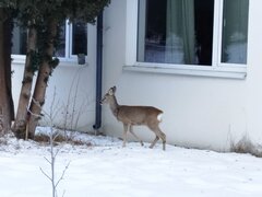 IMG_20260122_093354.jpg