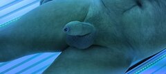 1000027075.jpg