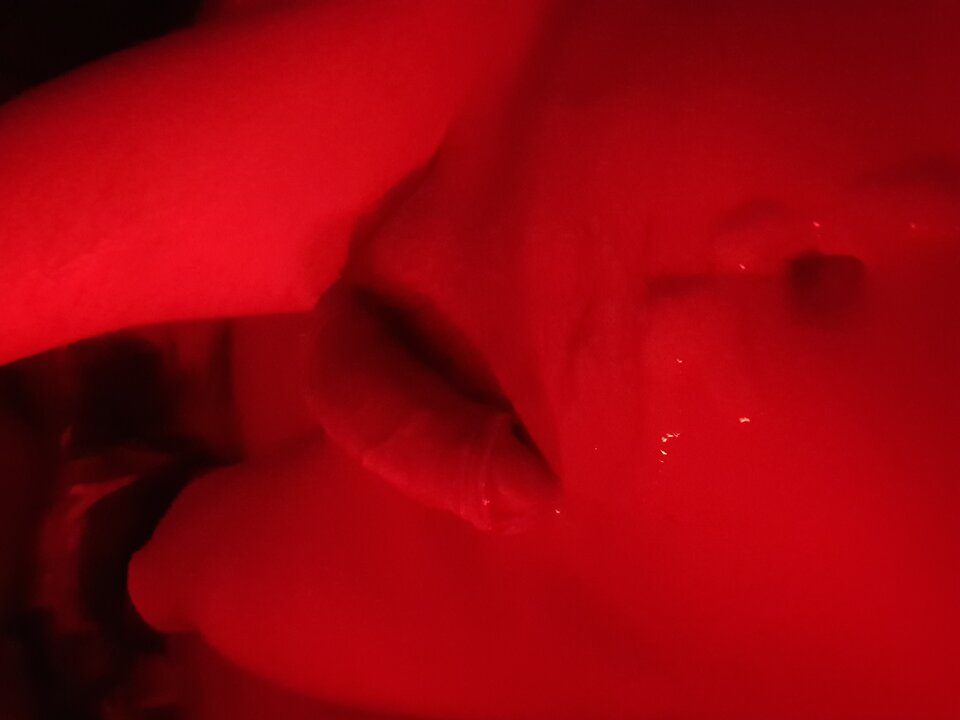 20260118_021017.jpg - Schneider91