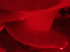20260113_003316.jpg