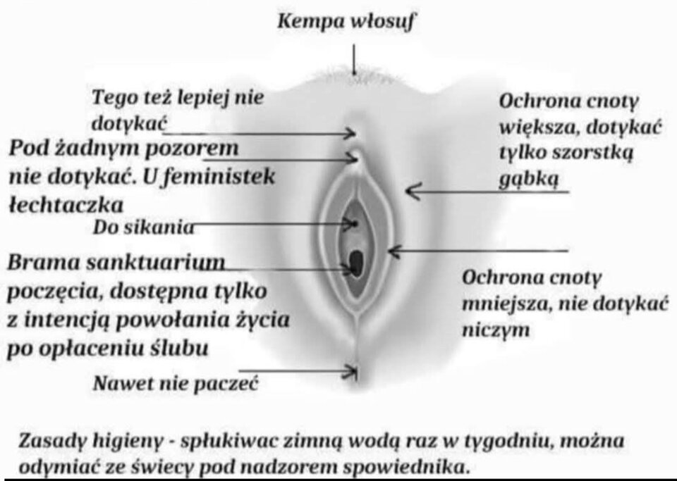 1000003874.jpg - luk8228