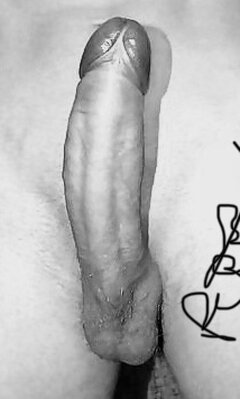 IMG_4024.jpeg