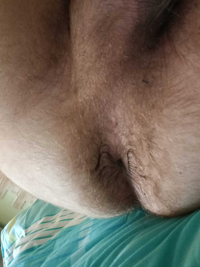 Bearman03