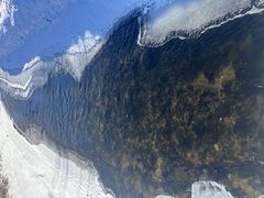 IMG_7917.jpeg