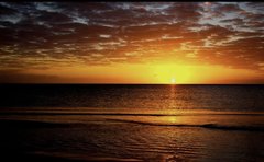 IMG_3028.jpeg