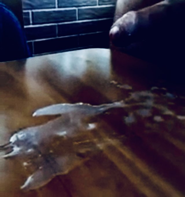 pawu