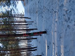 20260201_141252.jpg