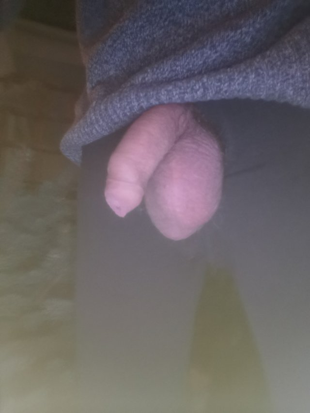 wiwi65