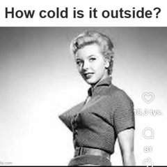 IMG_6997.jpeg