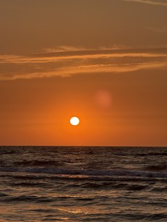 IMG_1029.jpeg