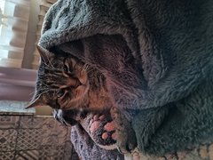 IMG_20260128_154908399.jpg