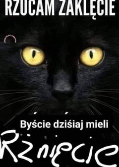 1000119525.jpg