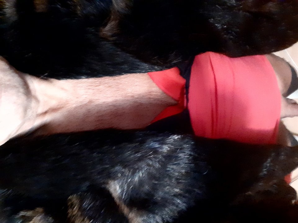 20260207_062701.jpg - Aktcrossdres