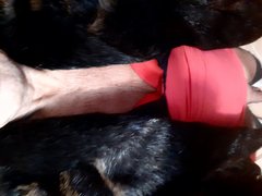 20260207_062701.jpg