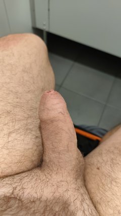 2748.jpg