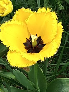 IMG_20240409_140257_665.jpg