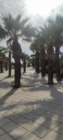 IMG_20260107_120716.jpg