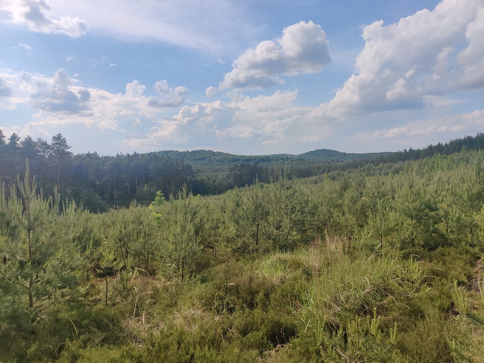 1000000798.jpg - WTRAZH
