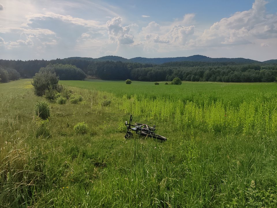 1000000801.jpg - WTRAZH