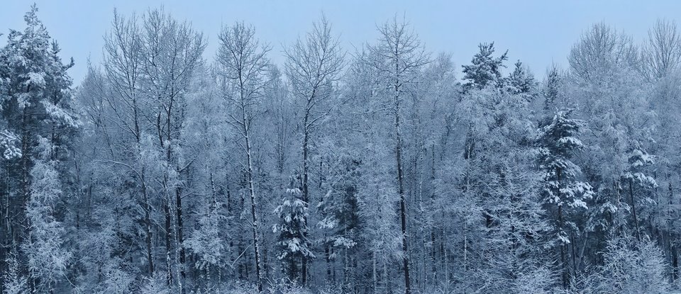 15810.jpg - Konkak