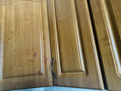 IMG_9174.jpeg