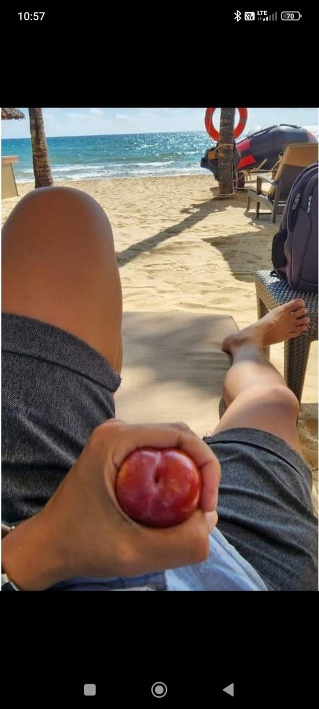 Skute_czny