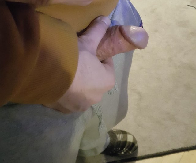 my21040
