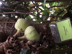 IMG_0755.jpeg