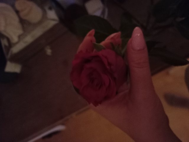 Feelslikeheave