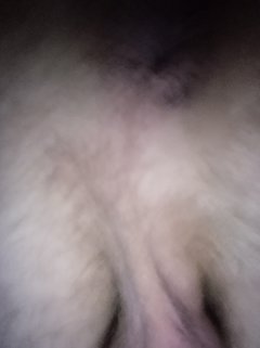 IMG_20260214_213536.jpg