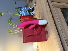 IMG_3527.jpeg